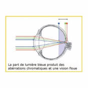 Lunettes Prisma clip-on Drive85 jour/nuit